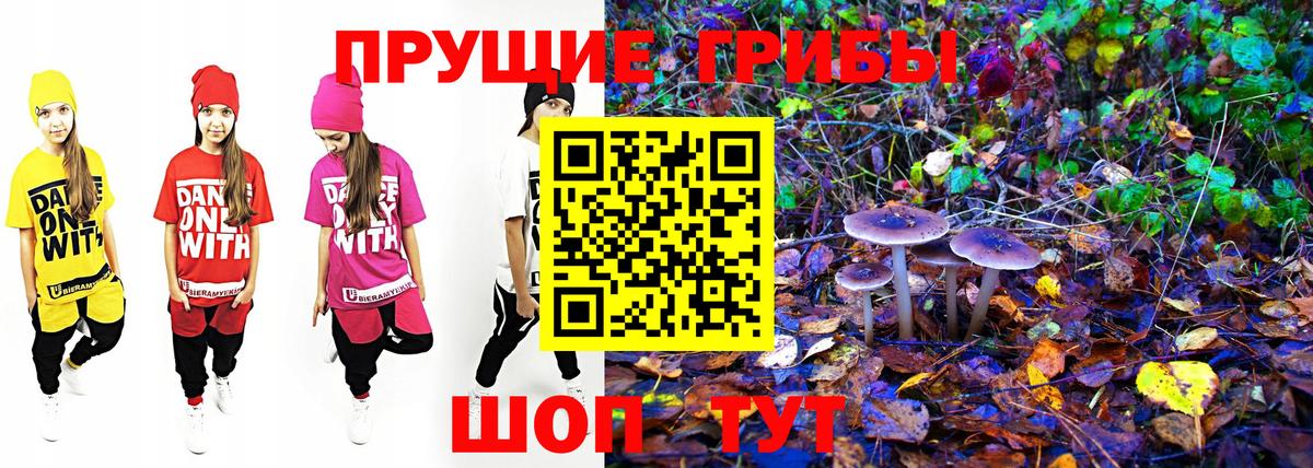 Псилоцибиновые грибы MAGIC MUSHROOMS  Вход с VPN  Славянск-на-Кубани  Галлюциногенные грибы Psilocybe 